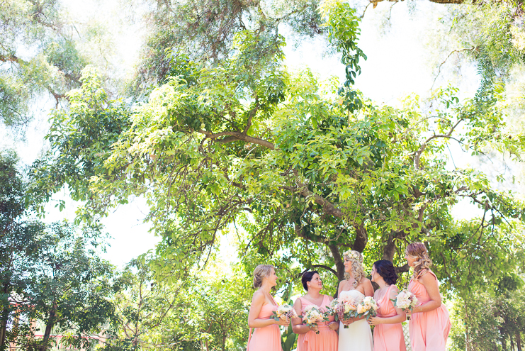 san diego wedding photographers green gables estate wedding photos wedding photographers in san diego garden wedding photos leaf it to lexi limelife photography green vintage wedding pink wedding ideas san diego wedding photos_011