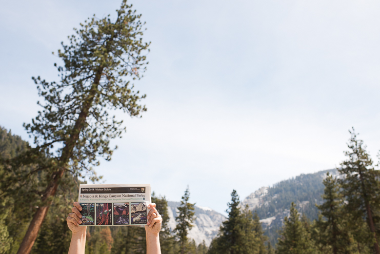 sequoia national park photographers limelife photography california photographers adventure photographers_005