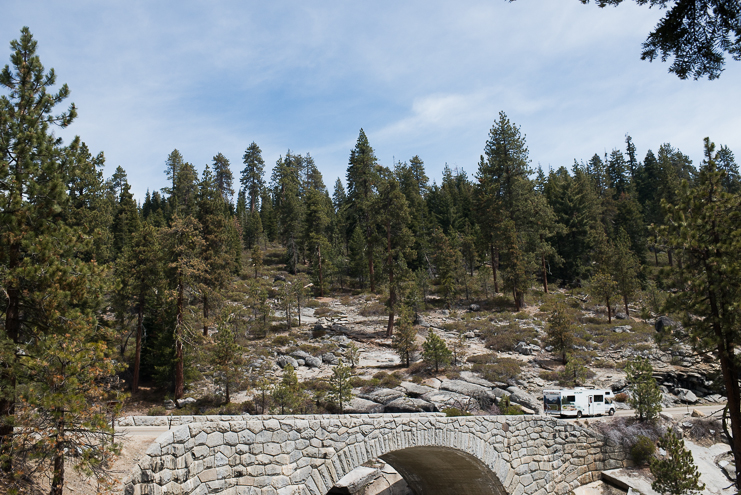 sequoia national park photographers limelife photography california photographers adventure photographers_007