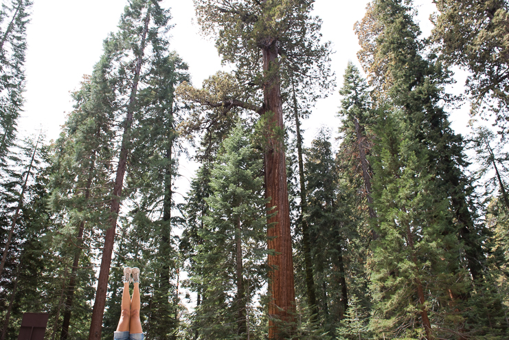 sequoia national park photographers limelife photography california photographers adventure photographers_008