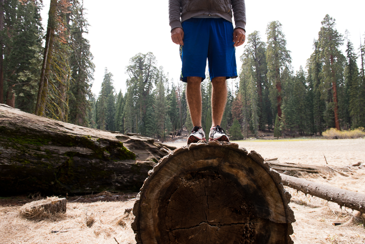 sequoia national park photographers limelife photography california photographers adventure photographers_011