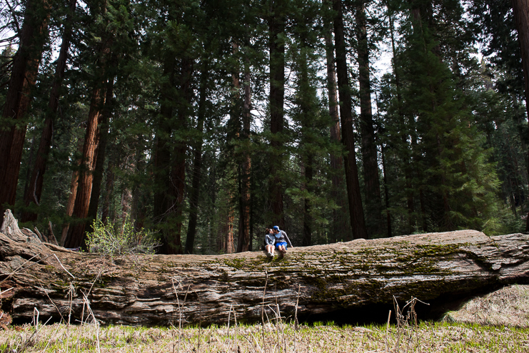 sequoia national park photographers limelife photography california photographers adventure photographers_013