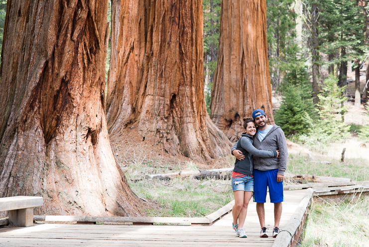 sequoia national park photographers limelife photography california photographers adventure photographers_014