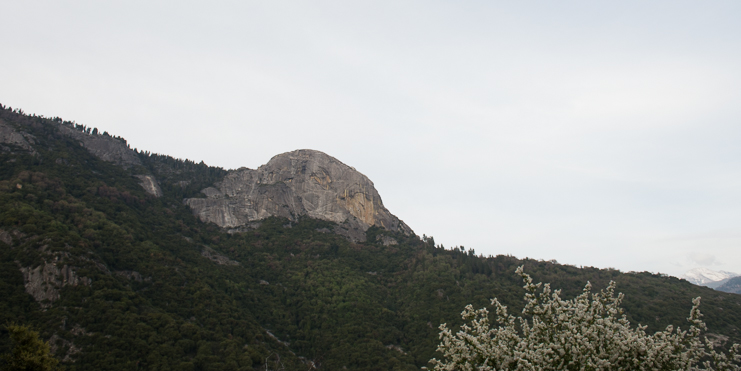 sequoia national park photographers limelife photography california photographers adventure photographers_018