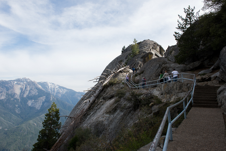 sequoia national park photographers limelife photography california photographers adventure photographers_019