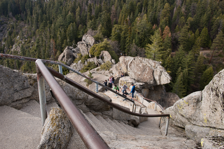 sequoia national park photographers limelife photography california photographers adventure photographers_021