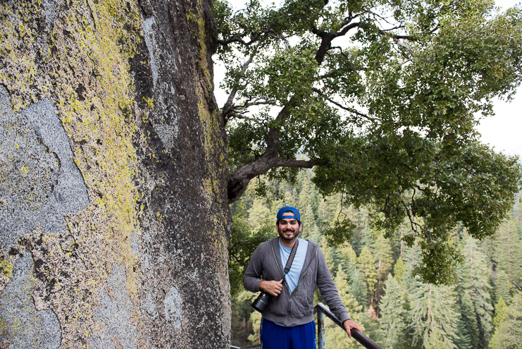 sequoia national park photographers limelife photography california photographers adventure photographers_026