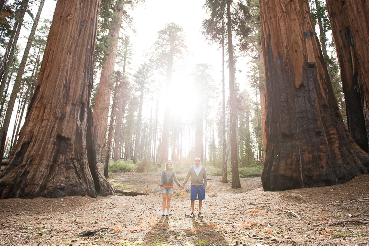 sequoia national park photographers limelife photography california photographers adventure photographers_028