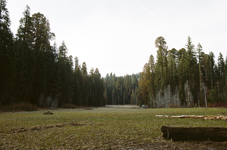 sequoia national park photographers limelife photography california photographers adventure photographers_031