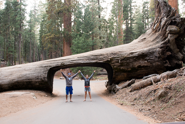 sequoia national park photographers limelife photography california photographers adventure photographers_032