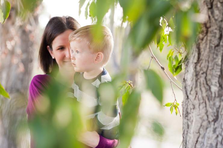 10 limelife photography colorful family photos in colorado