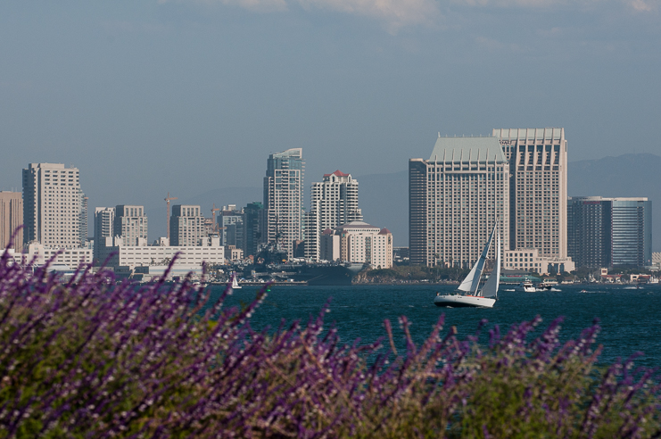 10 limelife photography view from tom ham lighthouse ceremony