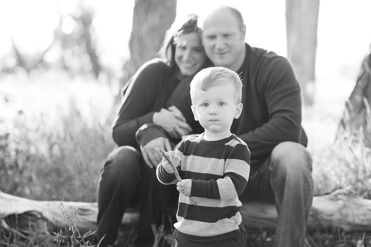 3 limelife photography colorado family portraits