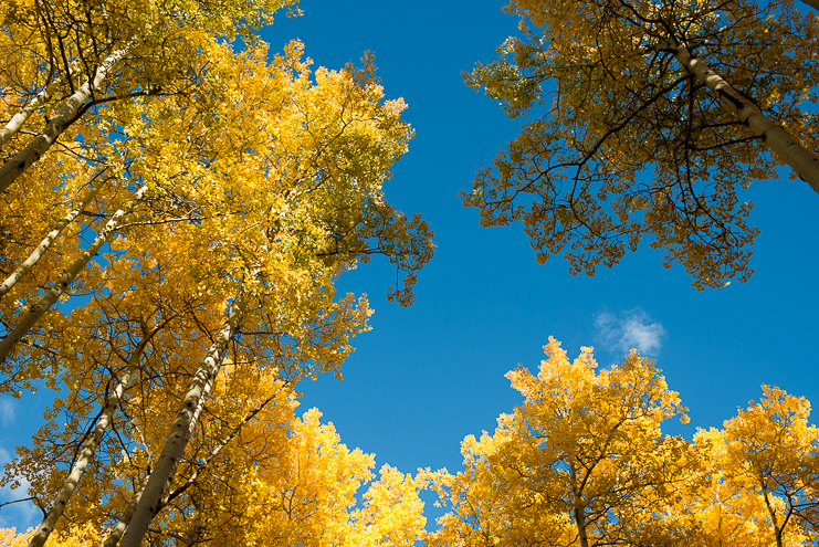 34 wedding in the aspens limelife photography 034