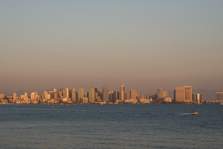 50 limelife photography san diego city view tom hams lighthouse wedding