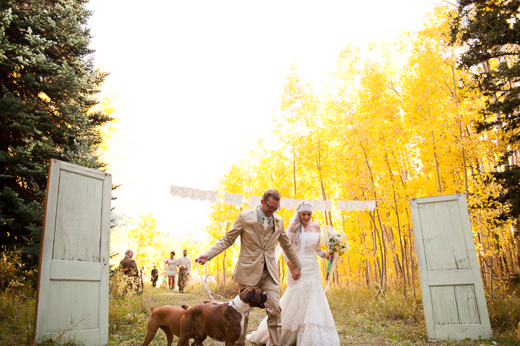 53 dogs for flower girls limelife photography 053