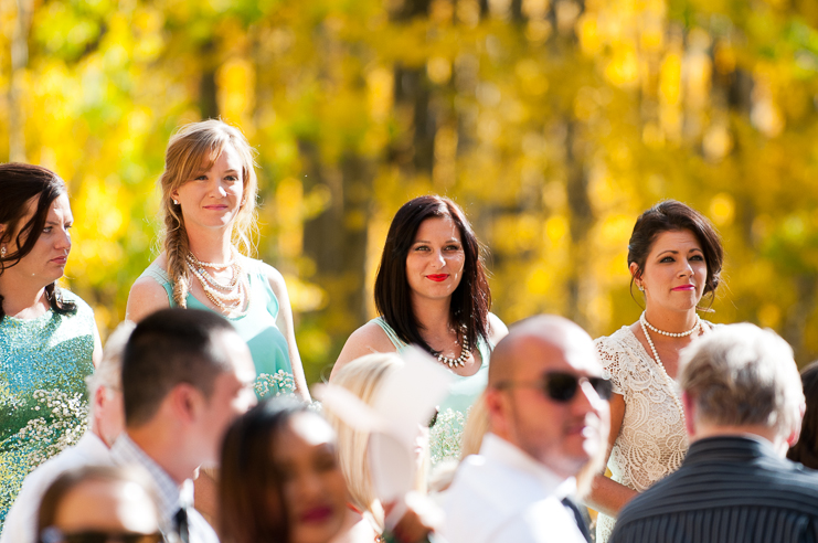 Limelife Photography yellow aspens bridesmaids