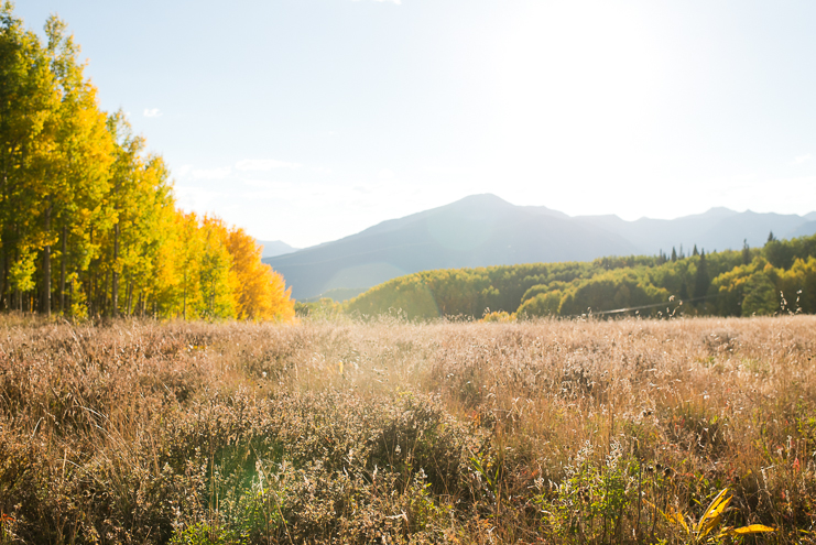 Limelife Photography_crested butte mountain wedding fall photos-1