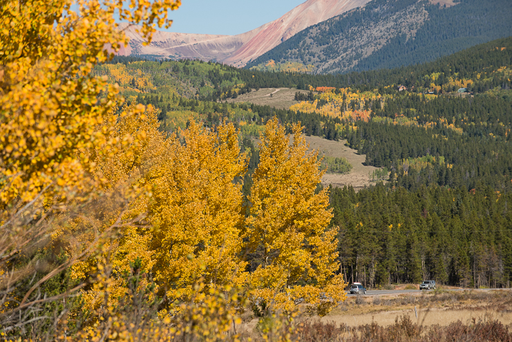 Limelife Photography_road to crested butte wedding-1