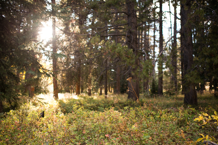 Limelife Photography Destination Wedding Photographers_029