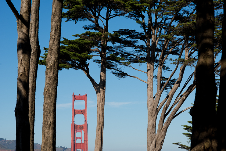 limelife photography destination wedding photographers california coast road trip_010