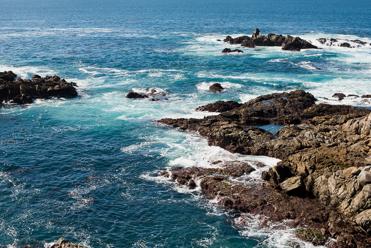 limelife photography destination wedding photographers california coast road trip_053