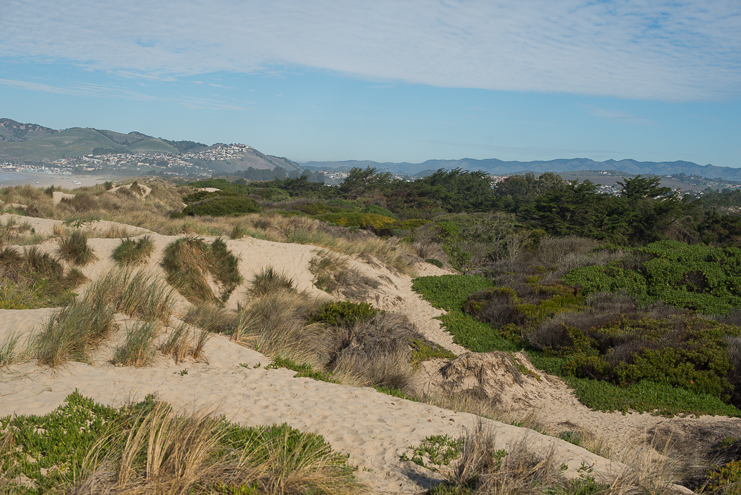 limelife photography destination wedding photographers california coast road trip_069