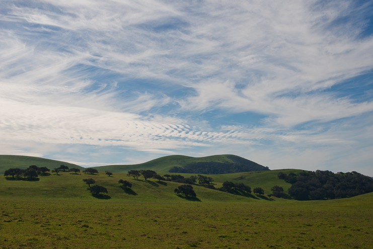 limelife photography destination wedding photographers california coast road trip_073