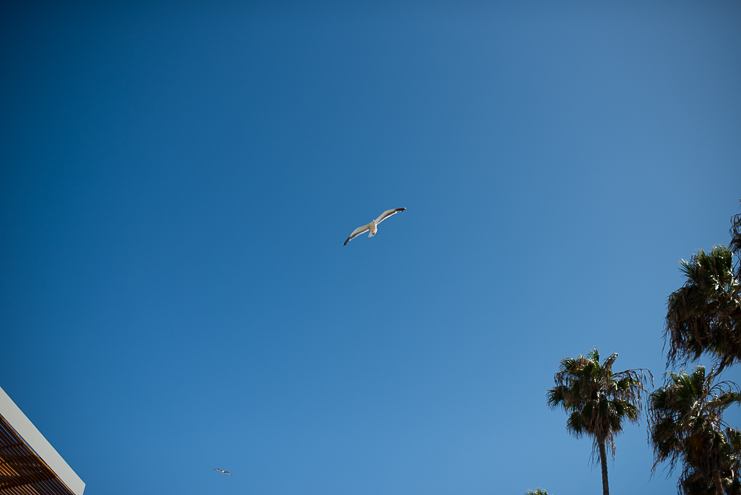 limelife photography san diego wedding photographers la jolla scripps forum wedding photos022