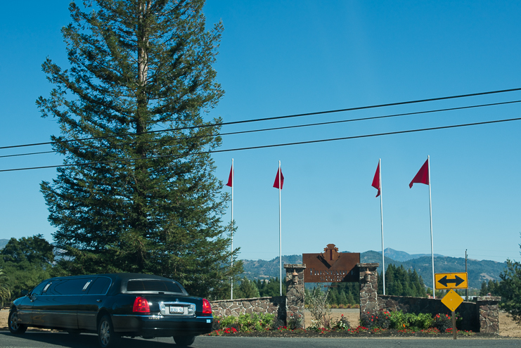 Limelife Photography Destination Wedding Photographers California Wedding Photographers 009