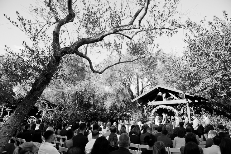Limelife Photography bernardo winery wedding san diego wedding photographers_017